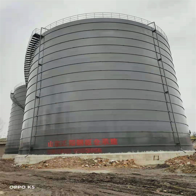 海兴3万吨大型钢板库